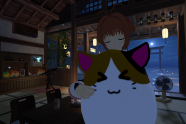VRChat-14